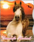 Traumhafte Pferdewelt - Sticker album - Blue Ocean - 2010
