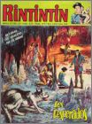 Rintintin N18 (suite images)