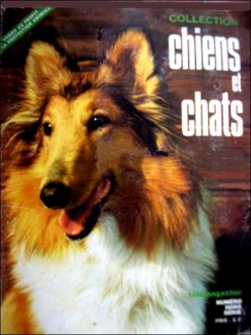 Chiens et Chats - Collection (Tlmagazine)