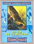 Histoire naturelle simplifiee - La vie de la riviere - N3