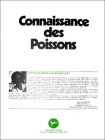 Connaissance des Poissons - Srie  N11 - Poulain