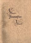 Faunaflor N°2