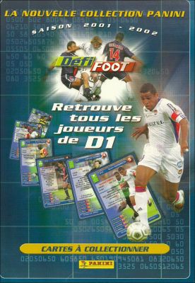 Dfi Foot - Saison 2001 - 2002