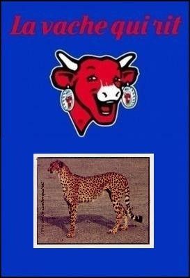 WWF - Animaux  Sauver - La vache qui rit