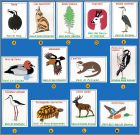 Checklist images A  M