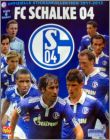 FC Schalke 04 2011/2012 - Panini - Allemagne
