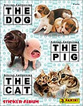 The Dog, The Cat, The Pig - Colombie - Bolivie