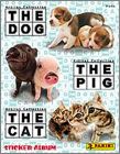 The Dog, The Cat, The Pig - Colombie - Bolivie