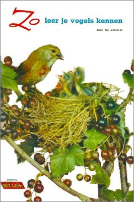Zo leer je vogels kennen  - Rizla +  - Part 1 - Pays Bas