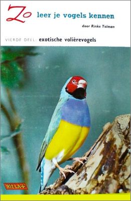 Zo leer je vogels kennen  - Rizla +  - Part 4 - Pays Bas