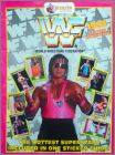 World Wrestling Federation (WWF - 1993) - Merlin - France
