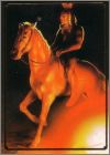 Exemple de card 2