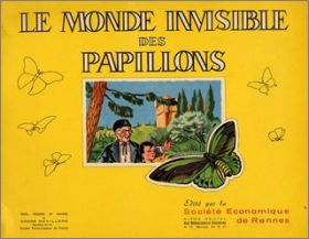 Le monde invisible des papillons - Economique de Rennes