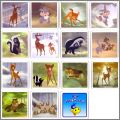 Bambi 2 - Cartes Memory - Danone Petit Gervais - Belgique