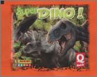 Dino C : pochette