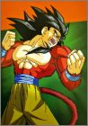 Exemple card Dragon Ball GT