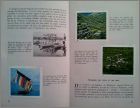 Exemple de double page