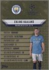 Ex dos carte Gold Edge Edition