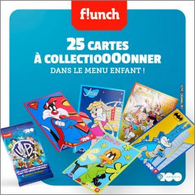 100 ans Warner Looney Tunes 25 cartes Flunch 2023