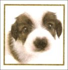 Exemple image en tissu (La P)