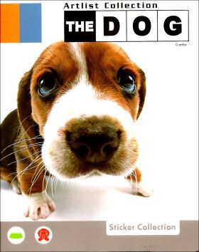 The Dog - Artlist Collection - Preziosi - Italie