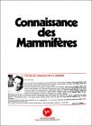 Connaissance des Mammifres - Srie N1 - Poulain