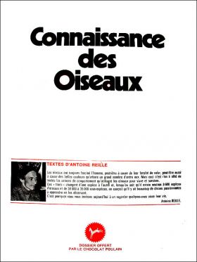 Connaissance des Oiseaux - Srie N2 - Poulain