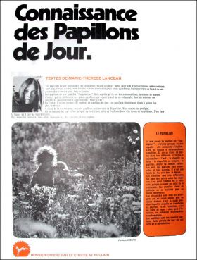 Connaissance des Papillons de Jour - Srie N13 - Poulain