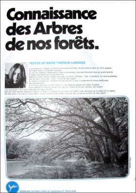 Connaissance des Arbres de nos Frets - Srie N19 - Poulain