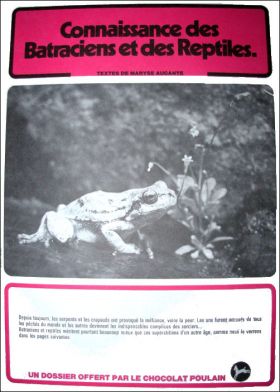 Connaissance des batraciens et des reptiles - Série N°26