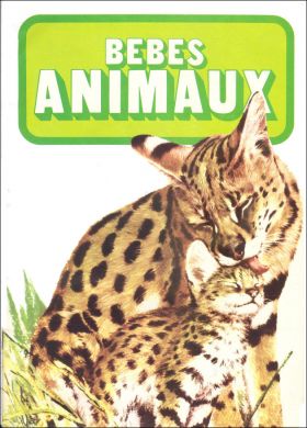 Bébés Animaux - Album d'images Maison Maurice - 1977 Canada