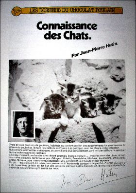 Connaissance des Chats - Srie N33 - Poulain